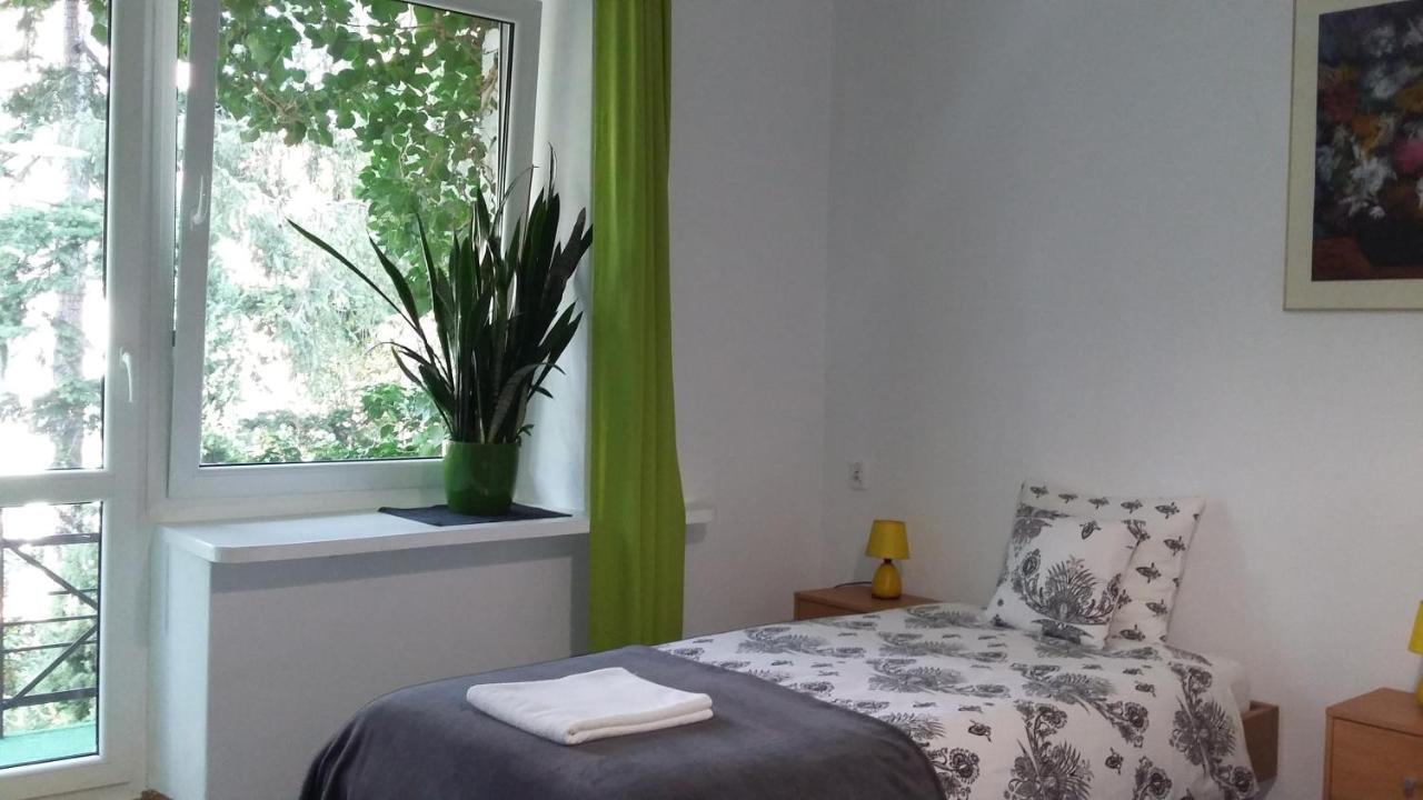 Homestay Animrumru *